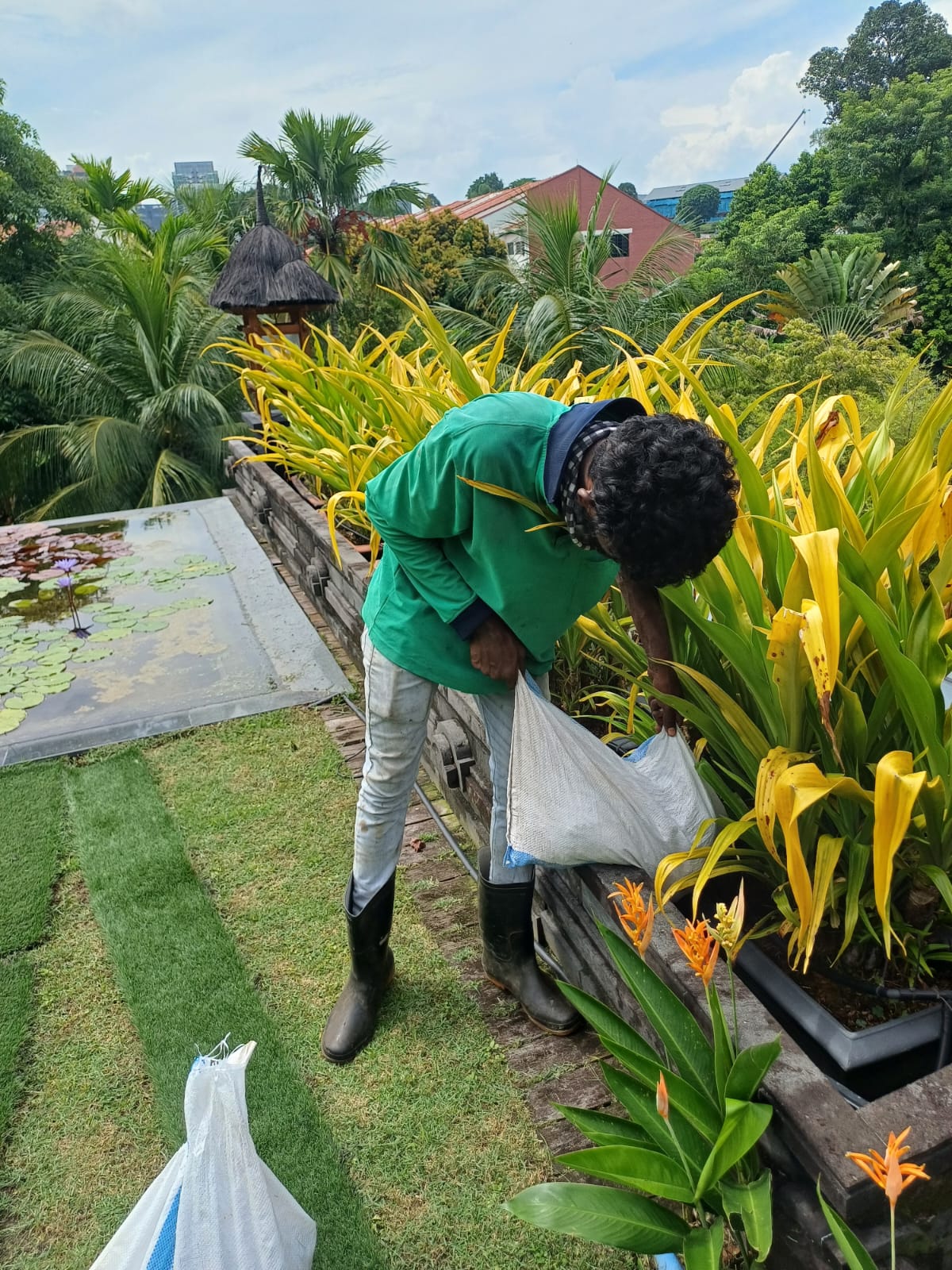 Composting and Soil Care