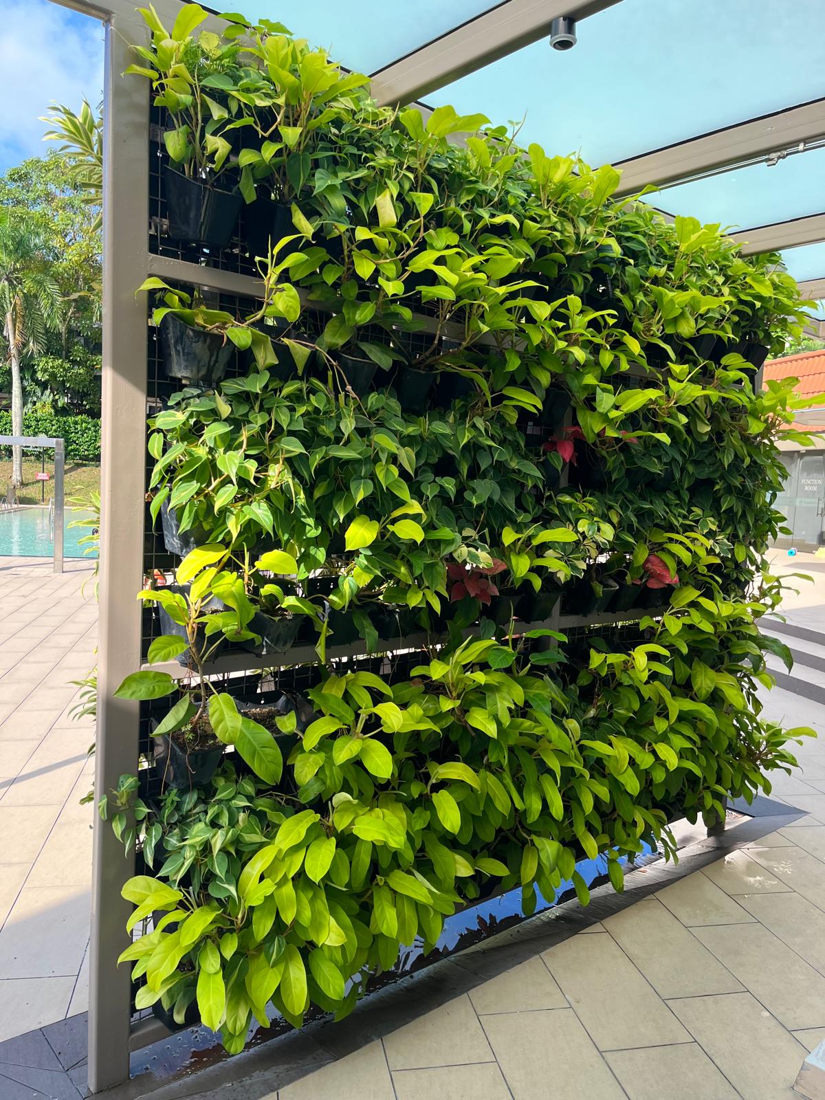 Indoor Green Wall Project